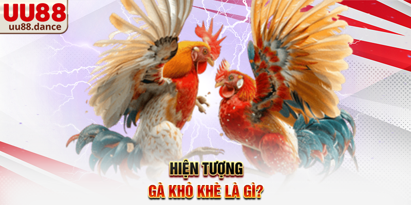 Hiện tượng gà khò khè là gì?