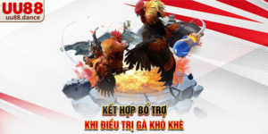 Kết hợp bổ trợ khi điều trị gà khò khè