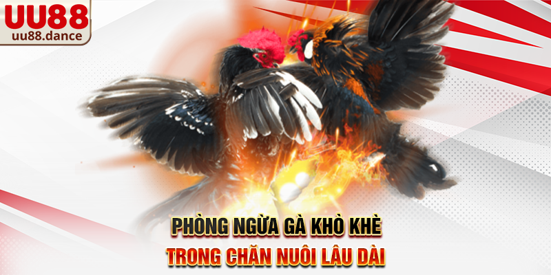 Phòng ngừa gà khò khè trong chăn nuôi lâu dài