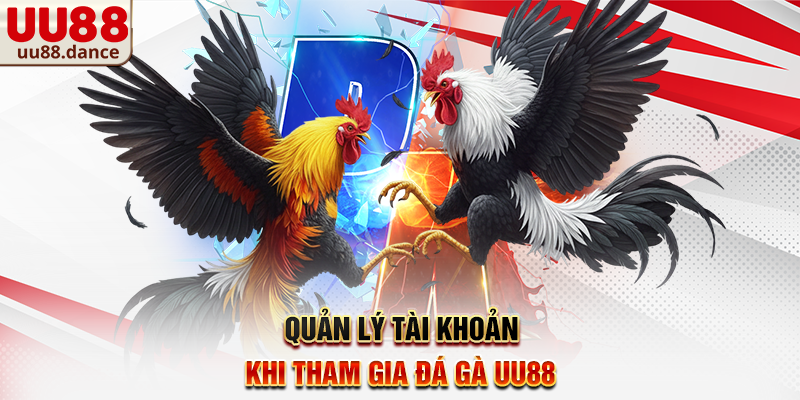 Quản lý tài khoản khi tham gia Đá Gà UU88