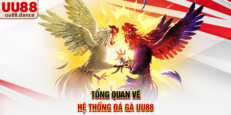 Tổng quan về hệ thống Đá Gà UU88