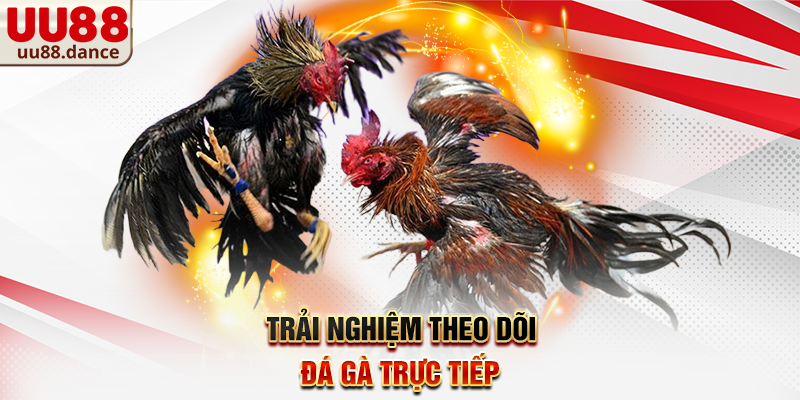 Trải nghiệm thân thiện với người dùng